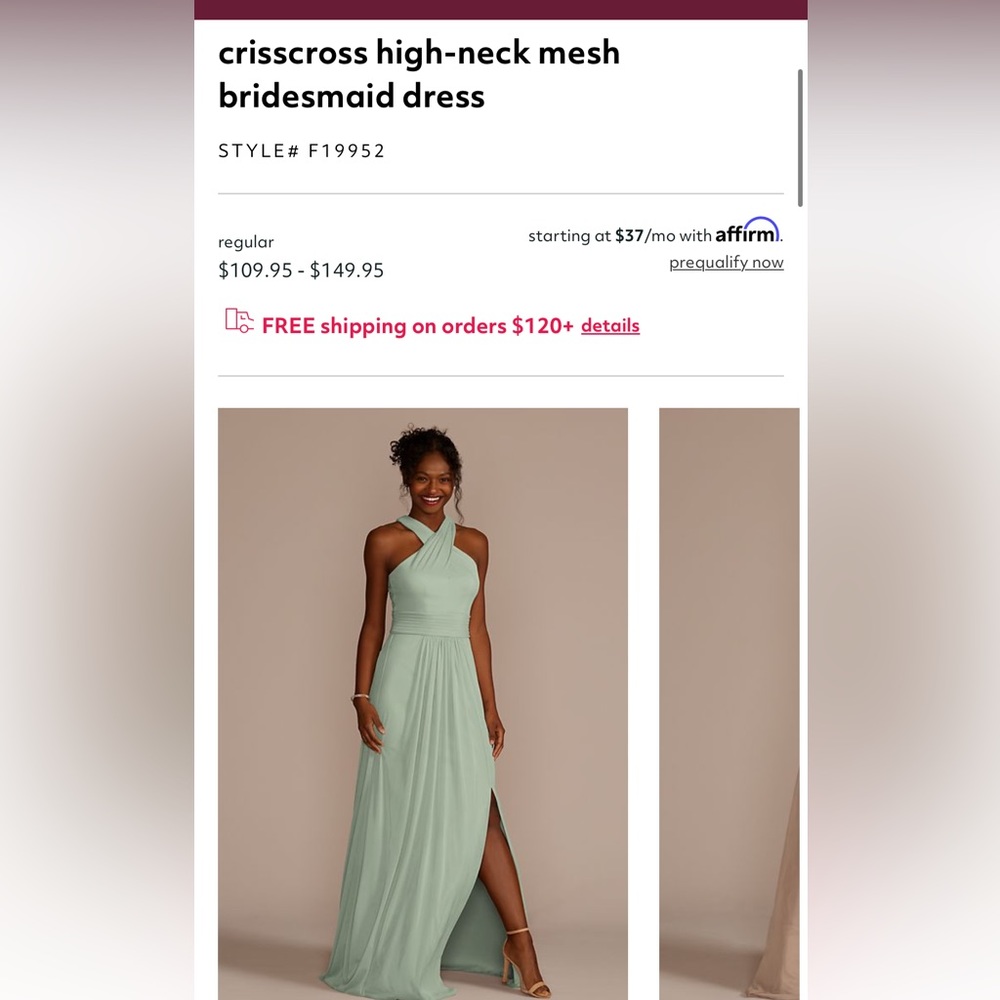 COPY - COPY - Davids Bridal bridesmaid dress